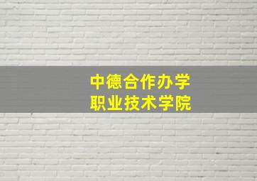 中德合作办学 职业技术学院